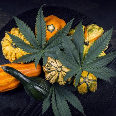 Danksgiving: How To Make Your Holiday 420-Friendly